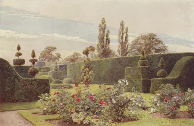 The Rose Garden, Arley