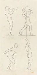 Bearing a Weight; Preparing to Jump, and Alighting