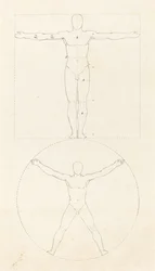 Circle and Square of the Human Figure