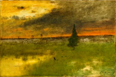 The Lonely Pine