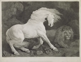 A Horse Affrighted by a Lion, engraved by the artist, pub. 1788