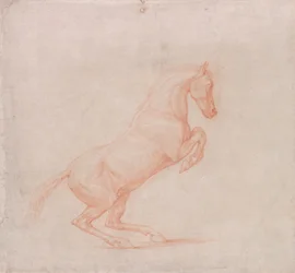 A Prancing Horse, Facing Right