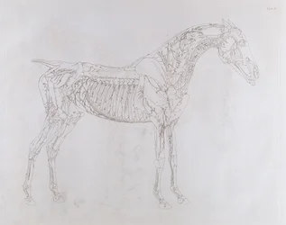 Illustration from 