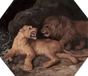 Lion and Lioness