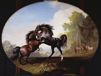 Stallions Fighting, 1781