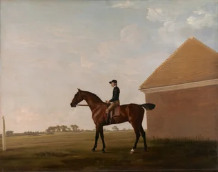 Turf, with Jockey up, at Newmarket