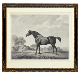 Sweetbrier