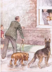 The spaniels were dripping with mud and slime, from Pets Limited published by Collins