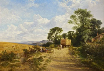 Landscape - Harvest Time