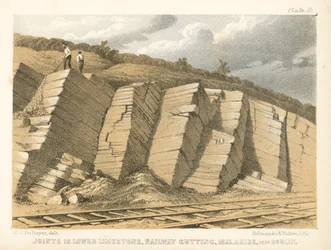 Joints in Lower Limestone, Railway Cutting, Malahide, near Dublin