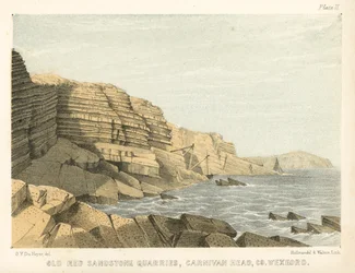 Old Red Sandstone Quarries, Carnivan Head, Co Wexford