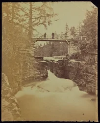 [Bridge]