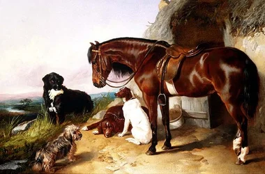 Portraits of Favourites