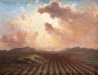 Evening in the Field