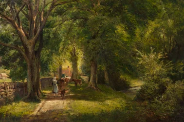 The Woods, Betts-Y-Coed