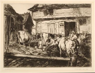 Waiting Cows