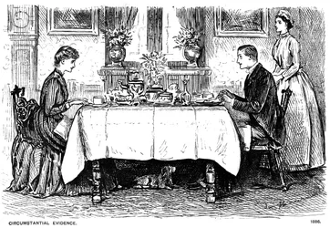 Circumstantial Evidence, 1886-1891