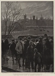 Half-Mast High, Dawn at Osborne, 23 January