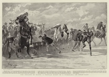 The English in Egypt, a Popular Event in a Gymkhana, an Apple Race