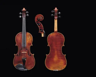 Violin