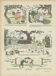 Fruits (Illustration for Le Rire)
