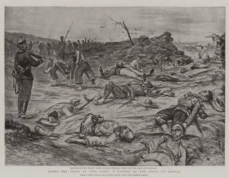 After the Fight at Ping Yang, a Corner of the Field of Battle