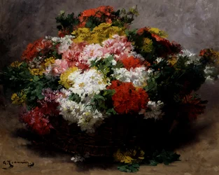 Multicolored Asters