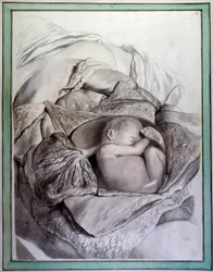 Representation of a Fetus of a Human Being in a Uterus