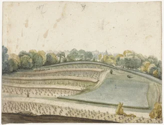 Panorama of a Waving Grain Field Seen from Above