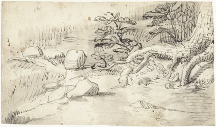 Study of Tree Roots by a Stream