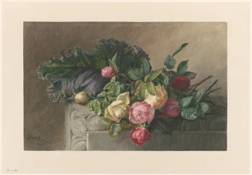 Still Life with Roses and Cabbage Leaf