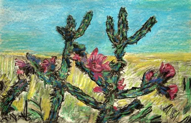 Cholla in Bloom