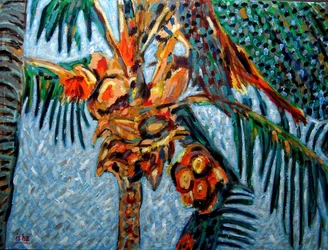 Coconut Palm at Noon