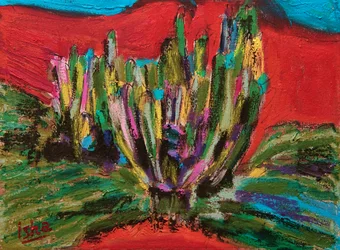 Saguaro Spirit, 2018