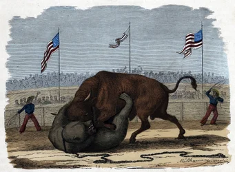 A fierce fight between a bull and a bear in an arena. In 