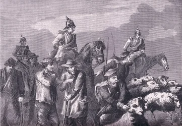 A foraging party