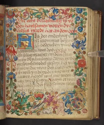 A Full Border Inhabited by Animals and a Putto