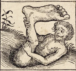 A Sciopod, Man with a Swollen Foot, from Registrum Hujus Operis Libri Cronicarum cum Figuris et Imagibus ab Inicio Mundi, by Hartmann Schedel