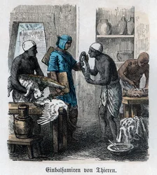 Ancient History. Egypt. Embalming of Animals (engraving)