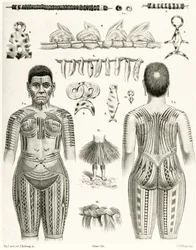 Diagram showing Polynesian Jewelry, ornaments and tattoo designs, 1888