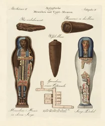 Egyptian Mummies