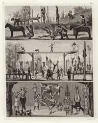 Gymnastics and acrobatics