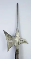 Halberd