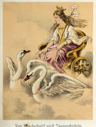 Illustration of Franz Hoffmann