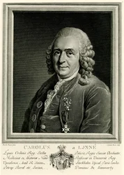 Carl Linnaeus