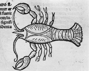 Cancer - in Treatise by Johannes Angeli De Magnisconnectionibue Annorum Revolutionibus ac Eorum Perfectionibus. Augsburg, Erhard Ratdolt