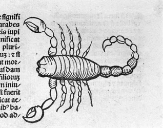 Le Scorpio - in Treatise by Johannes Angeli De Magnisconnectionibue annorum revolutionibus ac eorum pefectionibus. Augsburg, Erhard Ratdolt