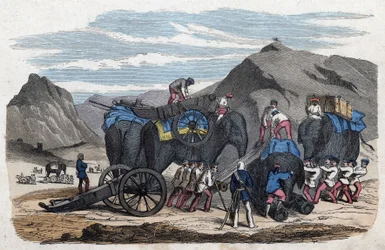 Loading Elephants for Mr. Bock
