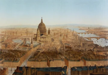 London: a bird