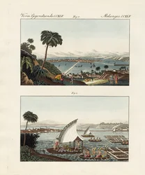 Mexico City with its settings and swimming gardens